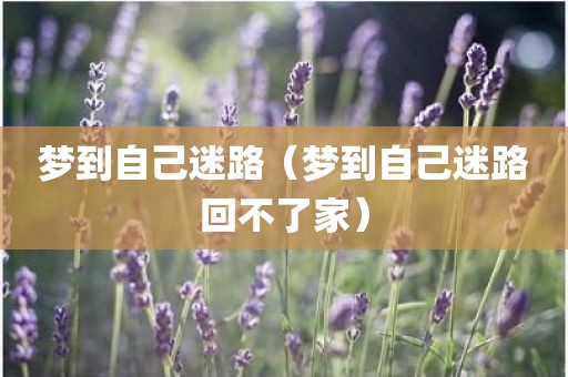 梦到自己迷路（梦到自己迷路回不了家）