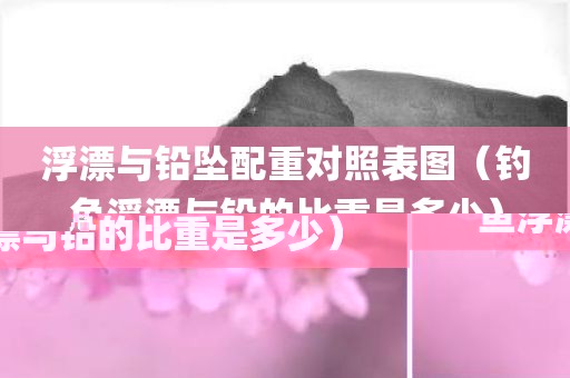浮漂与铅坠配重对照表图(钓鱼浮漂与铅的比重是多少)