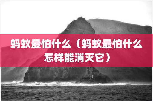 蚂蚁最怕什么（蚂蚁最怕什么怎样能消灭它）