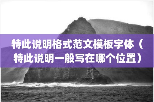 特此说明格式范文模板字体（特此说明一般写在哪个位置）