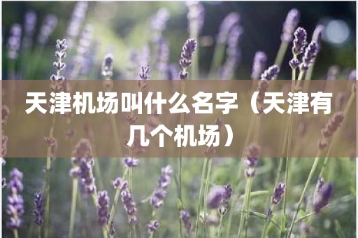 天津机场叫什么名字（天津有几个机场）