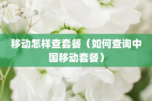 移动怎样查套餐（如何查询中国移动套餐）
