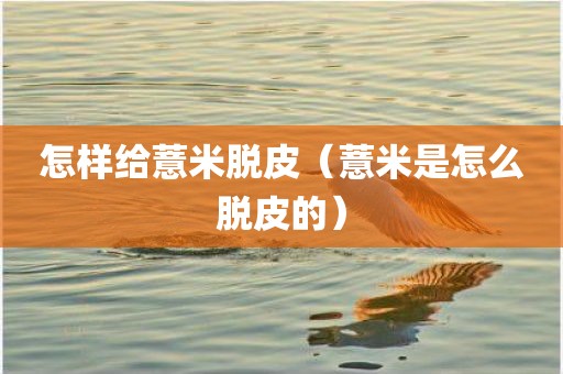 怎样给薏米脱皮（薏米是怎么脱皮的）