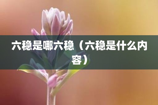 六稳是哪六稳（六稳是什么内容）
