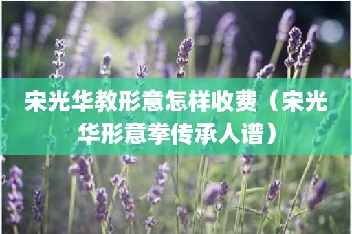 宋光华教形意怎样收费（宋光华形意拳传承人谱）
