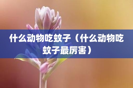 什么动物吃蚊子（什么动物吃蚊子最厉害）