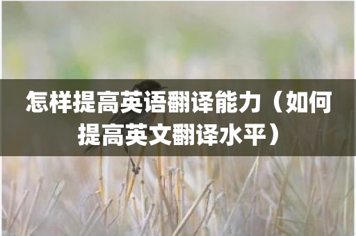 怎样提高英语翻译能力（如何提高英文翻译水平）