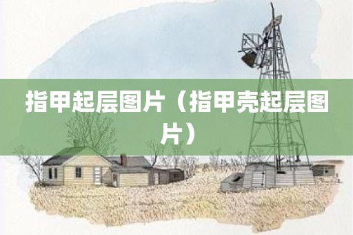 指甲起层图片（指甲壳起层图片）