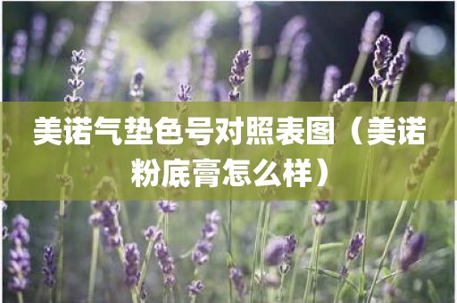 美诺气垫色号对照表图（美诺粉底膏怎么样）