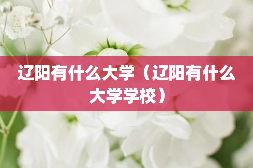 辽阳有什么大学（辽阳有什么大学学校）