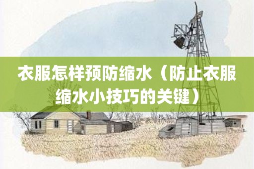 衣服怎样预防缩水（防止衣服缩水小技巧的关键）