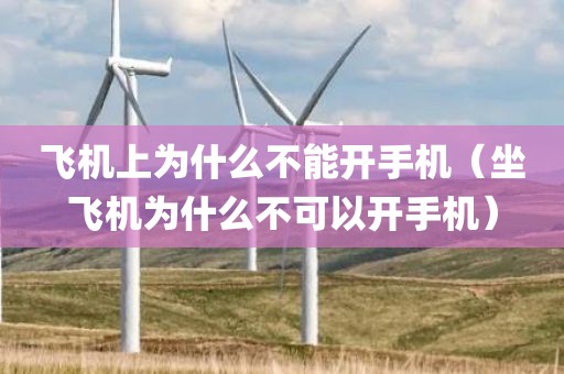 飞机上为什么不能开手机（坐飞机为什么不可以开手机）