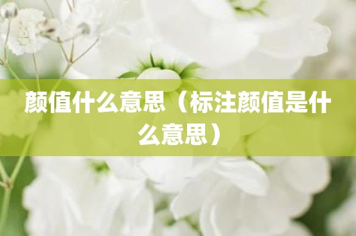 颜值什么意思（标注颜值是什么意思）