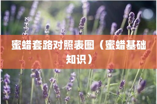 蜜蜡套路对照表图（蜜蜡基础知识）