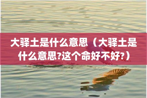 大驿土是什么意思（大驿土是什么意思?这个命好不好?）