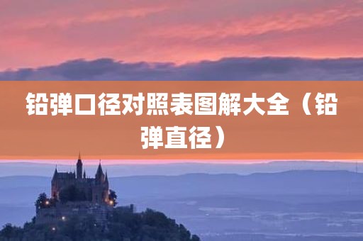 铅弹口径对照表图解大全（铅弹直径）