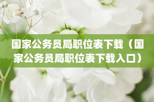 国家公务员局职位表下载（国家公务员局职位表下载入口）