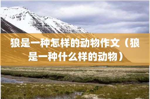 狼是一种怎样的动物作文（狼是一种什么样的动物）