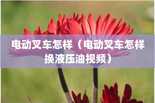 电动叉车怎样（电动叉车怎样换液压油视频）