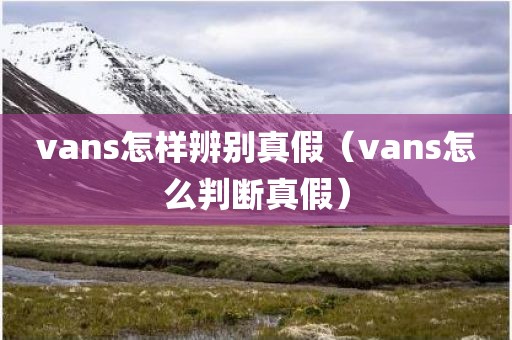 vans怎样辨别真假（vans怎么判断真假）