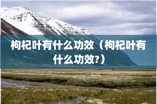枸杞叶有什么功效(枸杞叶有什么功效?)
