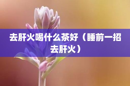 去肝火喝什么茶好（睡前一招去肝火）