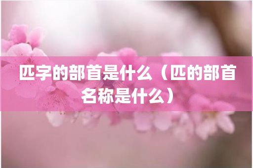 匹字的部首是什么（匹的部首名称是什么）