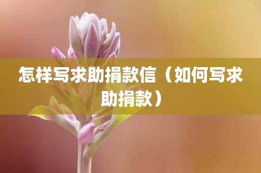 怎样写求助捐款信（如何写求助捐款）