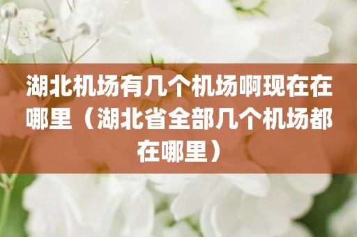 湖北机场有几个机场啊现在在哪里（湖北省全部几个机场都在哪里）