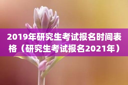 2019年研究生考试报名时间表格(研究生考试报名2021年)