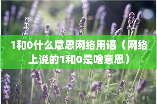 1和0什么意思网络用语（网络上说的1和0是啥意思）