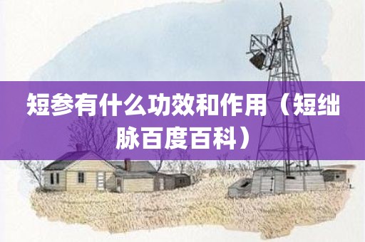 短参有什么功效和作用（短绌脉百度百科）
