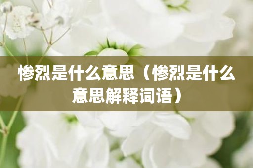 惨烈是什么意思（惨烈是什么意思解释词语）