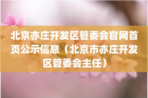 北京亦庄开发区管委会官网首页公示信息（北京市亦庄开发区管委会主任）