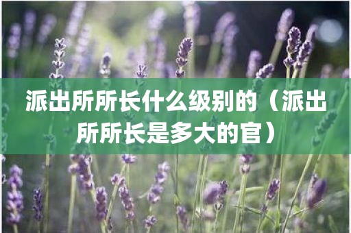 派出所所长什么级别的（派出所所长是多大的官）