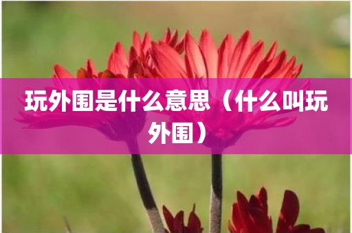 玩外围是什么意思（什么叫玩外围）