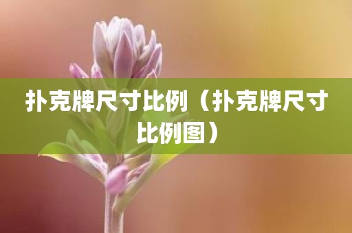 扑克牌尺寸比例(扑克牌尺寸比例图)