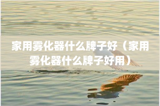 家用雾化器什么牌子好（家用雾化器什么牌子好用）