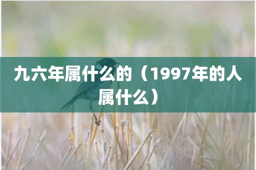 九六年属什么的（1997年的人属什么）