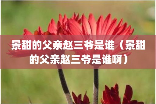 景甜的父亲赵三爷是谁（景甜的父亲赵三爷是谁啊）