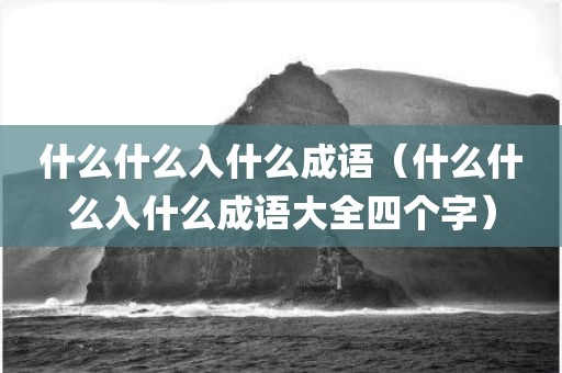 什么什么入什么成语（什么什么入什么成语大全四个字）