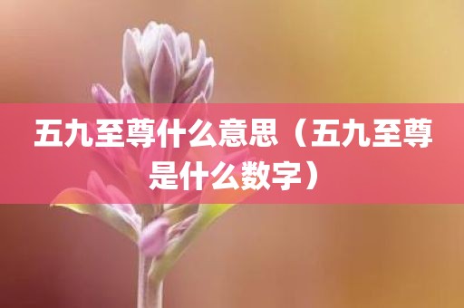 五九至尊什么意思（五九至尊是什么数字）