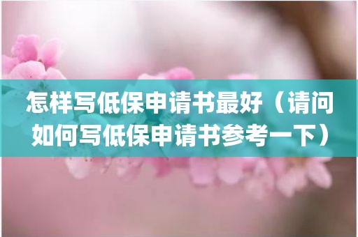 怎样写低保申请书最好（请问如何写低保申请书参考一下）