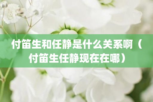 付笛生和任静是什么关系啊（付笛生任静现在在哪）