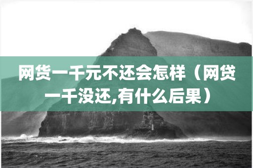 网货一千元不还会怎样（网贷一千没还,有什么后果）