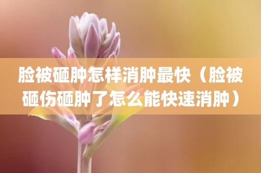 脸被砸肿怎样消肿最快（脸被砸伤砸肿了怎么能快速消肿）