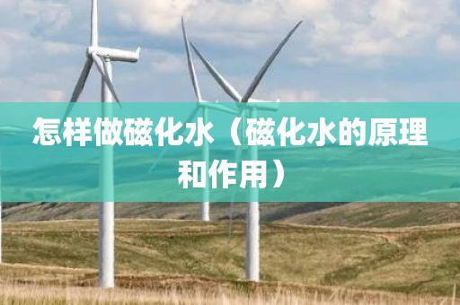 怎样做磁化水（磁化水的原理和作用）