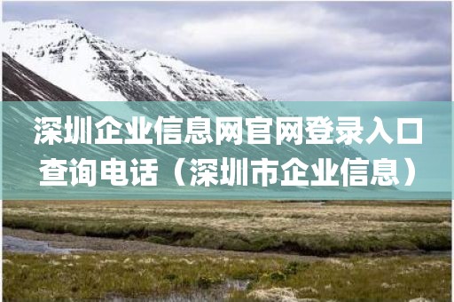 深圳企业信息网官网登录入口查询电话（深圳市企业信息）