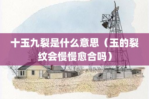 十玉九裂是什么意思（玉的裂纹会慢慢愈合吗）