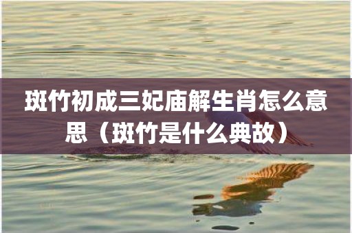 斑竹初成三妃庙解生肖怎么意思（斑竹是什么典故）